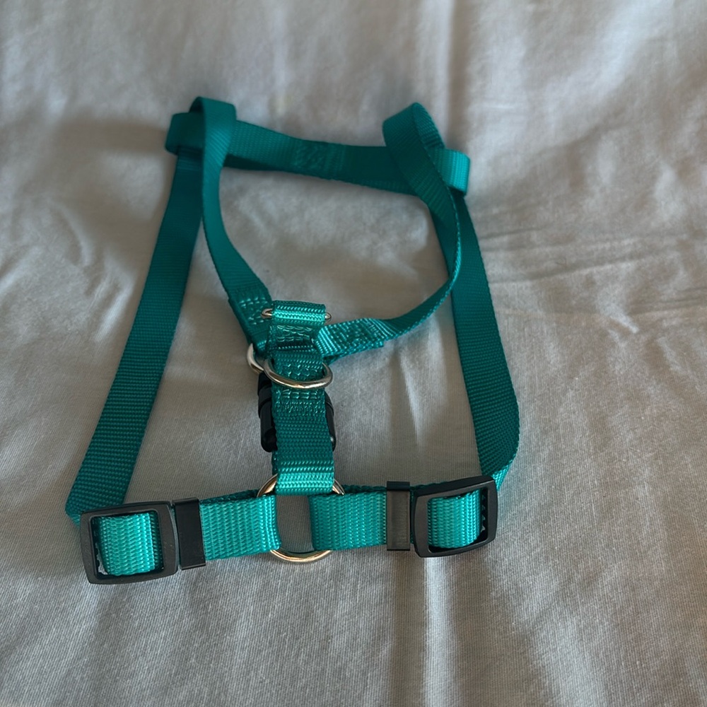 Adjustable small dog harness, never used.
